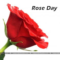 Rose Day