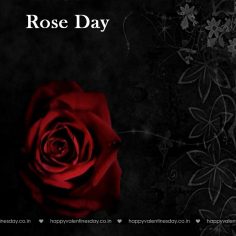 Rose Day – happy valentines day funny