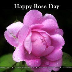 Rose Day – happy valentines day song