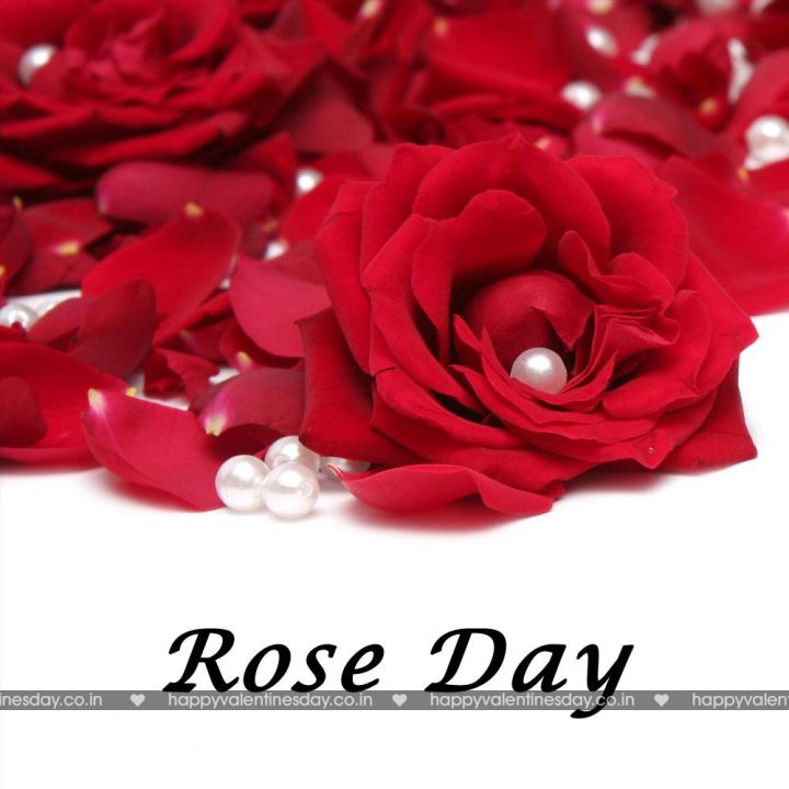 Rose Day