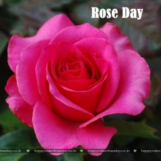 Rose Day – happy valentines day for kids