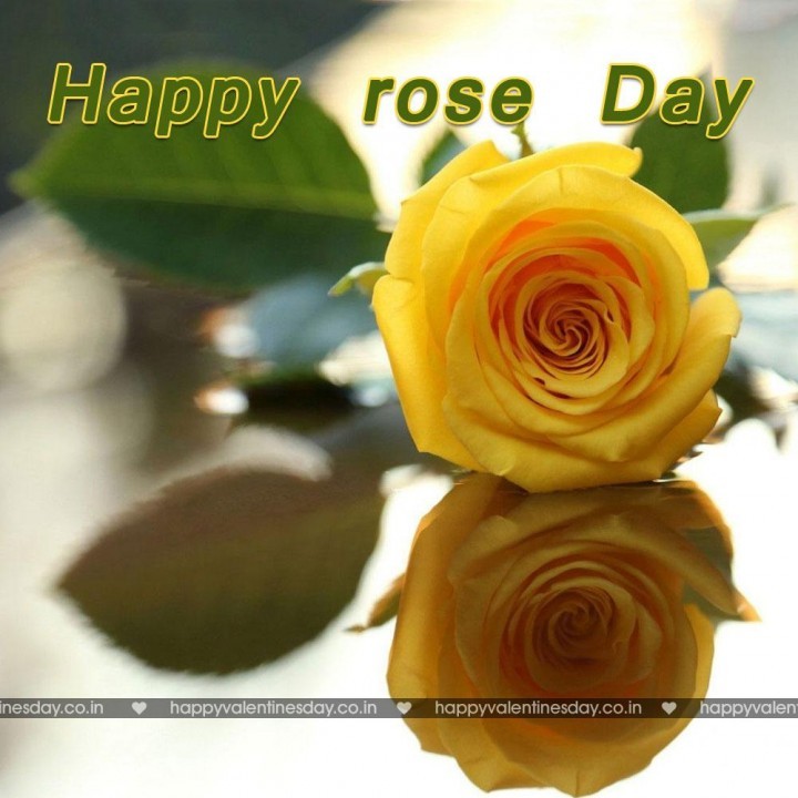 Rose Day