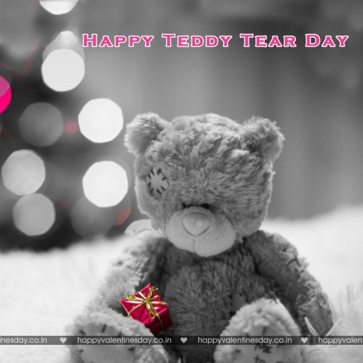 Teddy Day Valentine 130