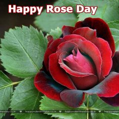 Rose Day – ecards for kids