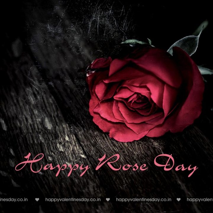 Rose Day – free mothers day cards