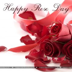 Rose Day – valentines day greetings quotes