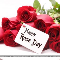 Rose Day – happy valentines day letter