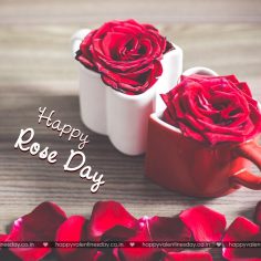 Rose Day – happy valentines card