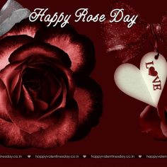 Rose Day – happy valentines day beautiful