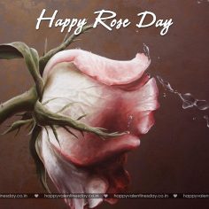 Rose Day – happy valentine card