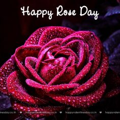 Rose Day – free electronic cards
