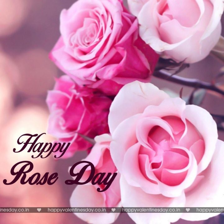 Rose Day – send an ecard