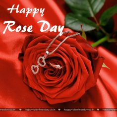 Rose Day – valentine day facts