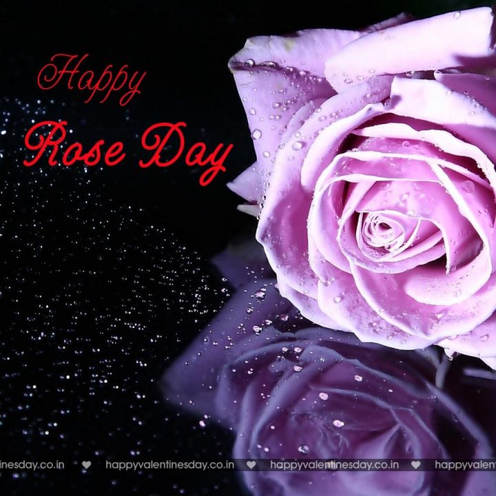 Rose Day – happy valentines day jokes