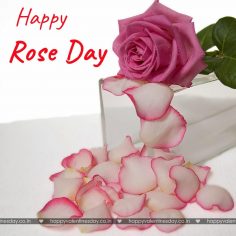 Rose Day – happy valentine day pictures gallery
