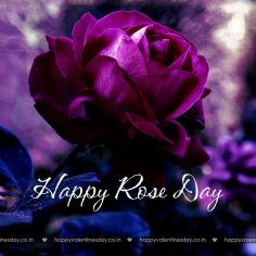 Rose Day – happy valentines day games