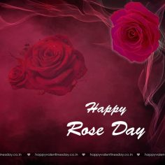 Rose Day – happy valentine day images download
