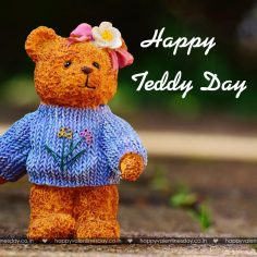 Teddy Day – happy valentines day animation