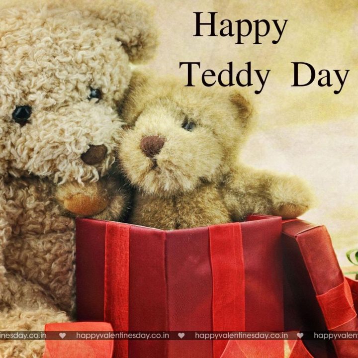 Teddy Day – happy valentines day greeting cards