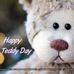 Teddy Day – ecards funny