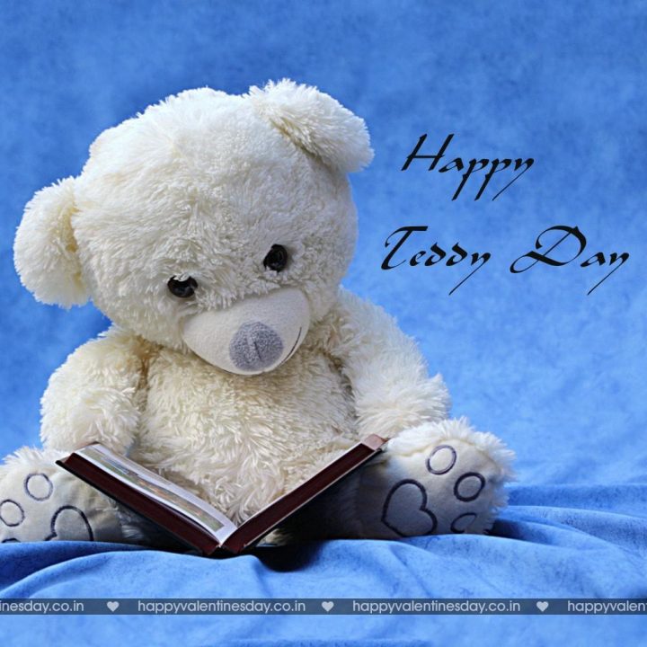 Teddy Day – valentines day greetings quotes