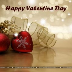 Valentine Day Messages – funny cards